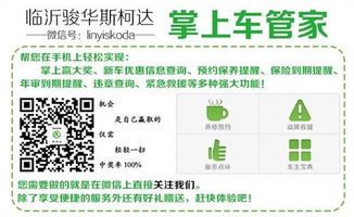 临沂骏华斯柯达